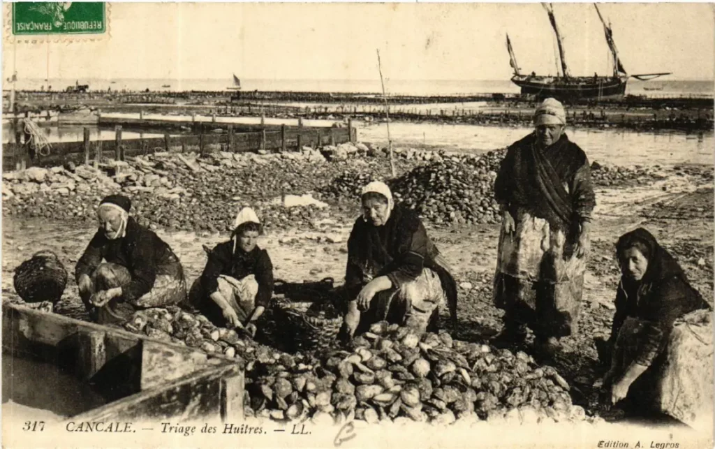 Cancale tri des huîtres