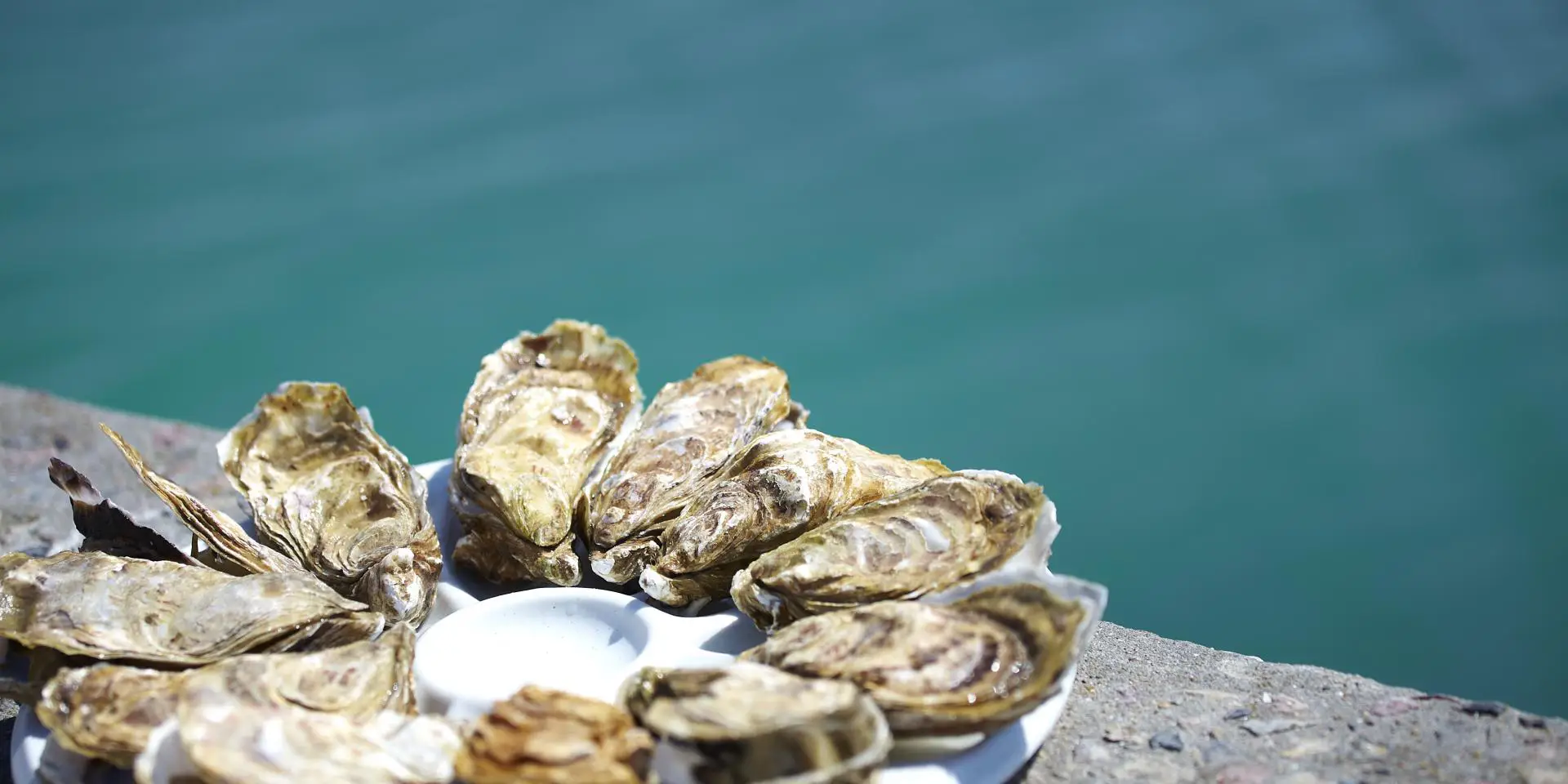 huîtres cancale