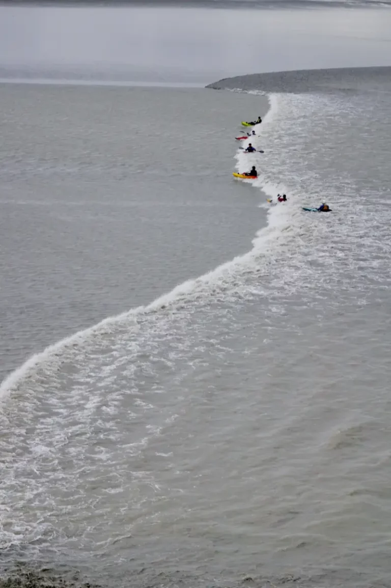 mascaret en baie du Mont Saint-Michel : Surfeurs et kayaks sur la vague