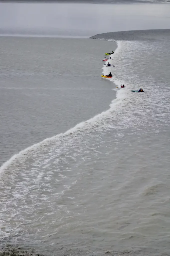 le mascaret en grandes marées - des kayaks surfant la vague baie mont saint-michel