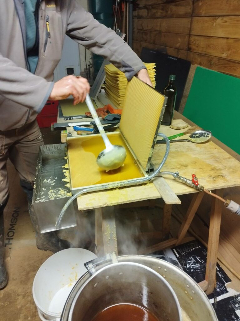 Julien Avril (Gambettes en Baie) prépare la saison 2026. Apiculture et Traversée de la Baie