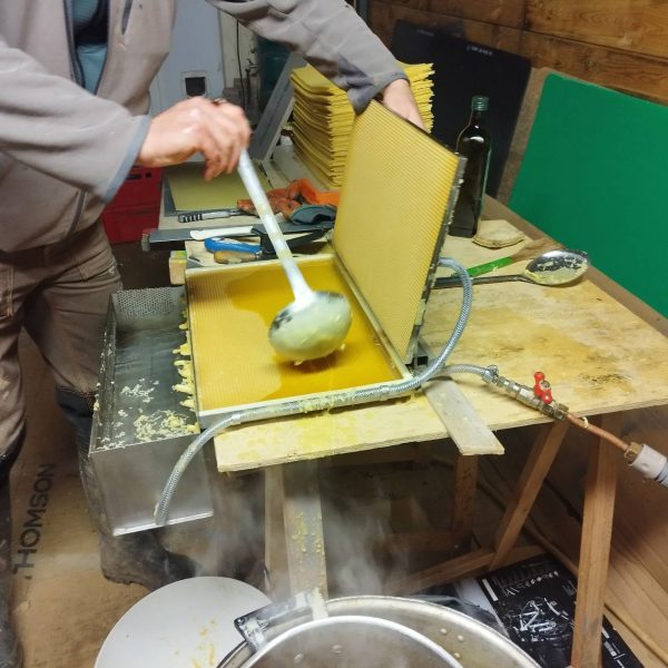 Julien Avril (Gambettes en Baie) prépare la saison 2026. Apiculture et Traversée de la Baie